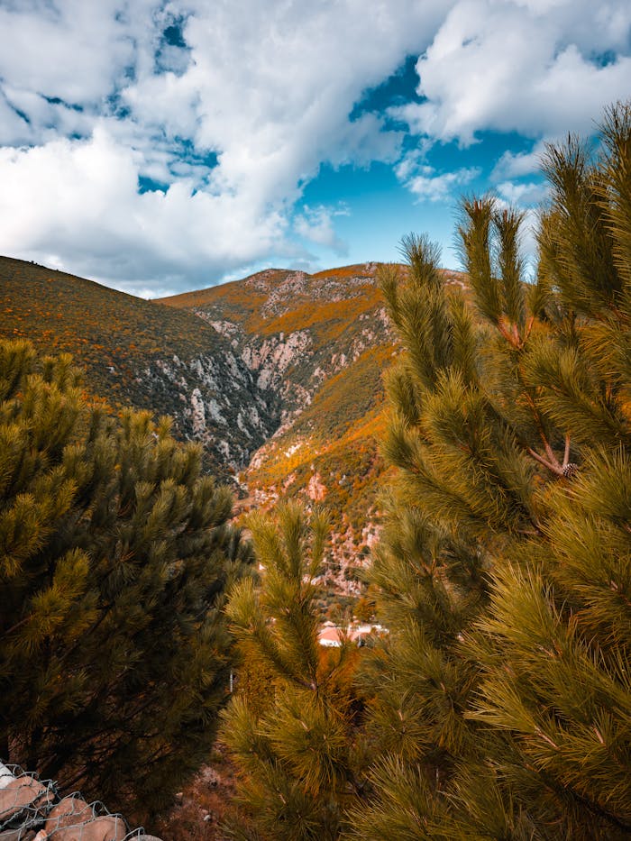 Free stock photo of aesthetic sky, alps autumn, balkan mountains